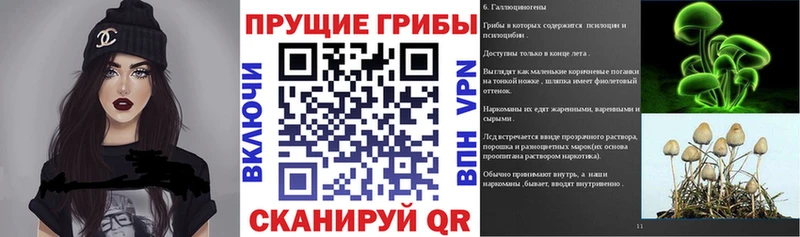 Купить где  Усть-Катав  Псилоцибиновые грибы Cubensis 